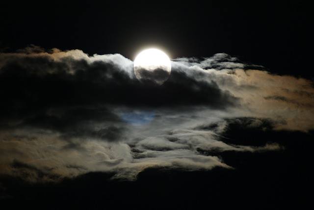 Picture